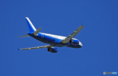 離陸 DEER JET A320-232 B-8415