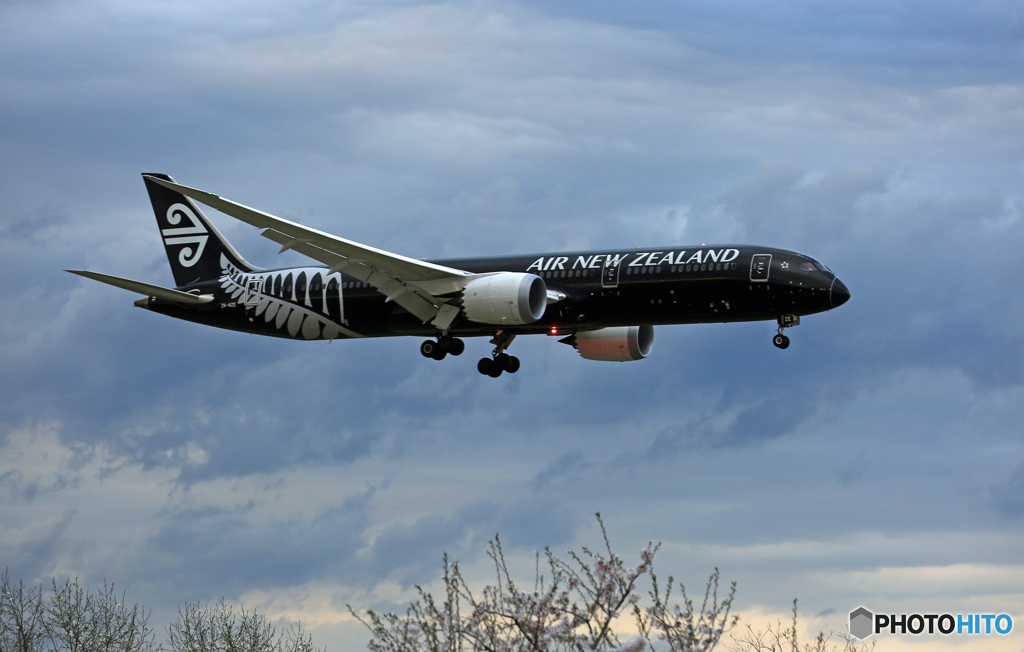 「SKY」Air NZ' 787-9「All Blacks」ZK-NZE着陸
