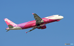 peach A320-214 JA817P 離陸 