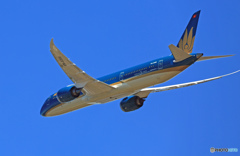 vietnam 787-9 VN-A866 出発 