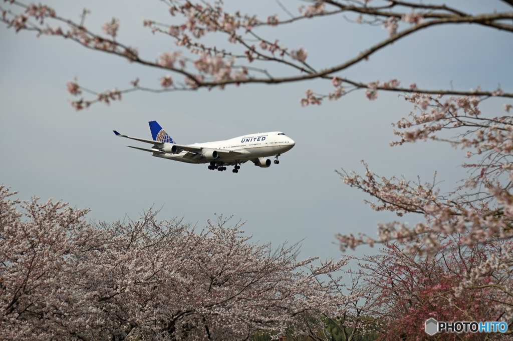 UNITED 747-400 「さくら」