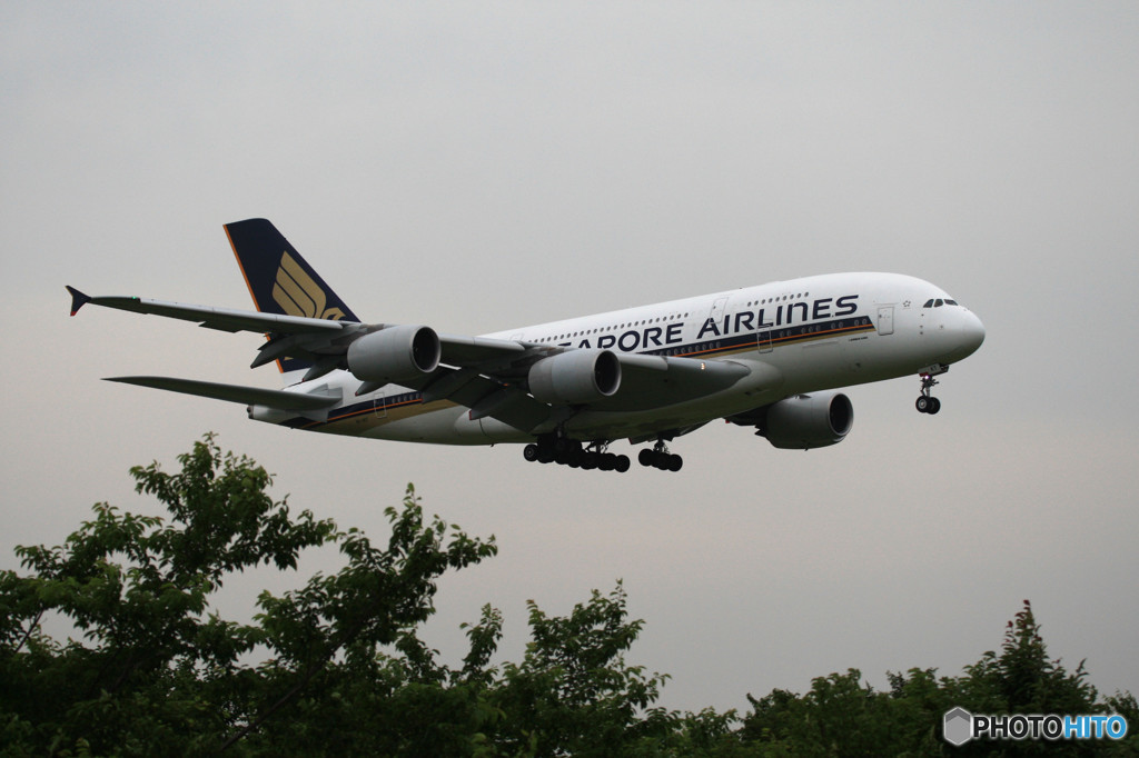 ☮関西空港　A380　8/8 ～ 8/16　就航・記念☮