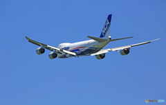 Takeoff NCA 747-8KZF JA12KZ