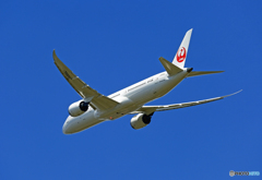 「青空」 JAL 787-9 JA866J 飛行