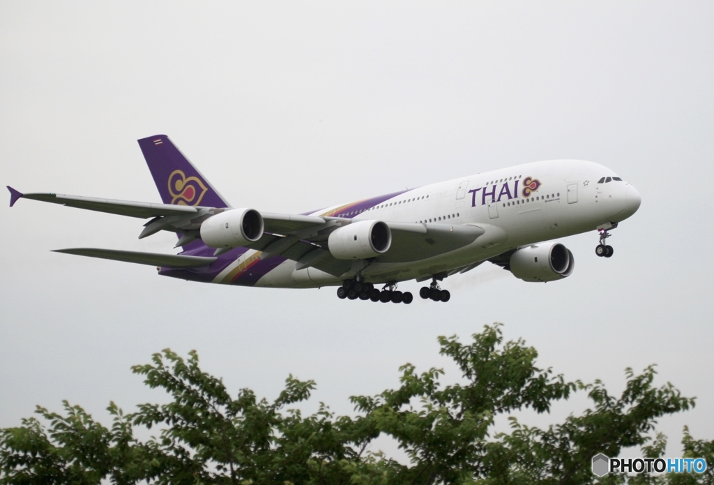 THAI A380-841曇り