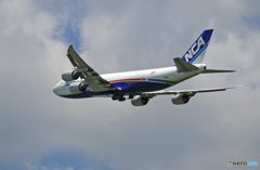 NCA 747-8KZF JA14KZ  /ジャンボ保存委員会
