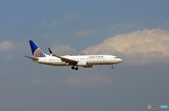 「SKY」United 737-800 ｼﾐﾀｰﾙｳｲﾝｸN37293着地前