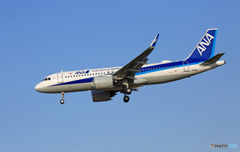 「ぶるー」 ANA A320-neo 271N JA212A  Landing