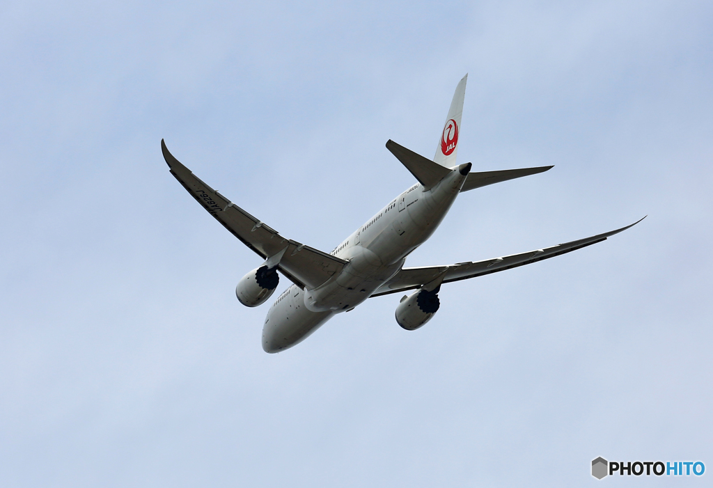 「青空」JAL 787-8 JA826J 離陸