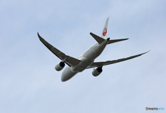 「青空」JAL 787-8 JA826J 離陸