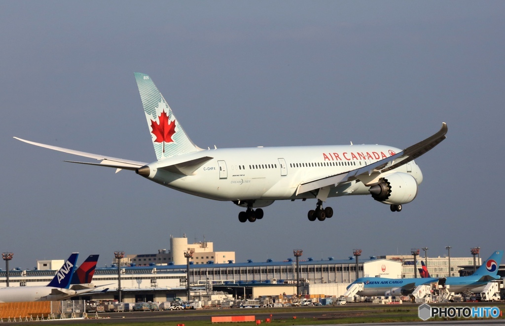 Air Canada 787-8 C-GHPX 到着　