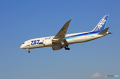 「ぶるー」 ANA 787-8 JA813A Landing 「ぶるー」 ANA 787-8 JA813A Landing