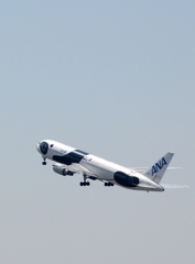 飛び立ち（82）ANA 767　FLY!PANDA
