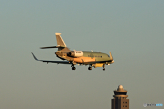 プライベートジェットDassault Falcon 2000 N714RK