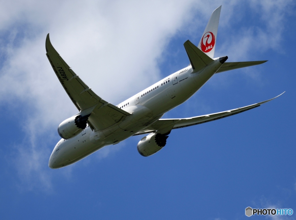JAL 787-8 離陸　