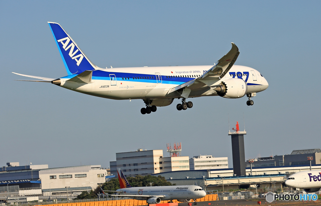 到着 ANA 787-8 JA823A