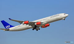 SAS A340-313 OY-KBA  離陸 