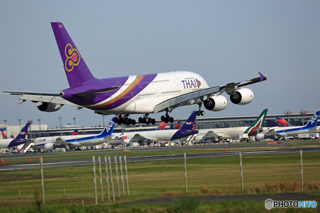 到着 THAI A380-841 HS-TUF