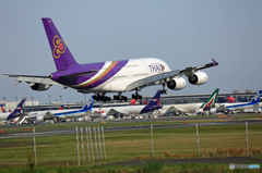 到着 THAI A380-841 HS-TUF