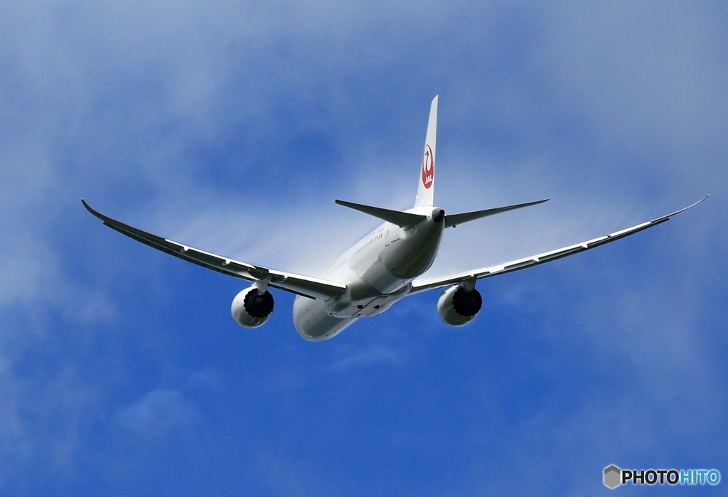 ☮JAL 787-8   ☮ベイパー