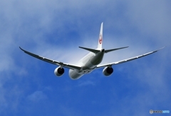 ☮JAL 787-8   ☮ベイパー