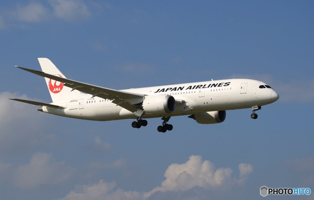 JAL 787-8 到着　