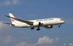 JAL 787-8 到着　
