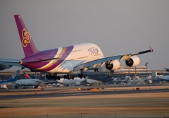 THAI A380-841 着陸