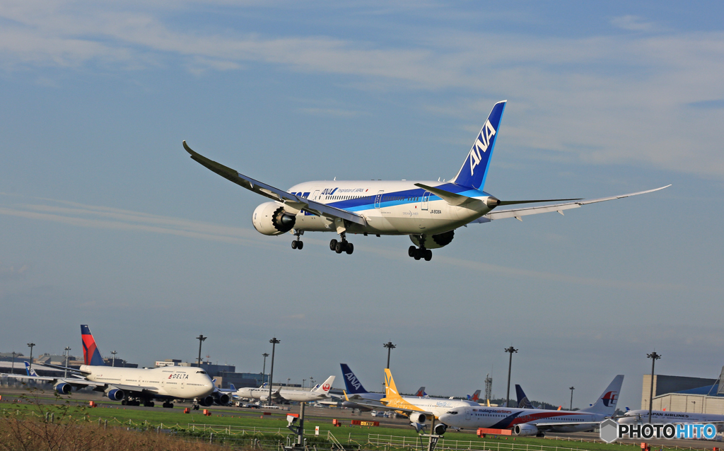 「青い空」 ANA 787-8 JA806A