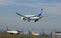 「青い空」 ANA 787-8 JA806A