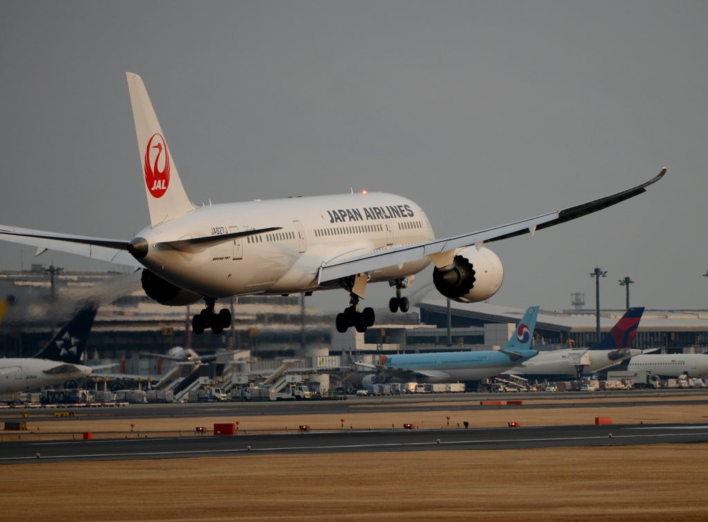 JAL 787-8 着陸
