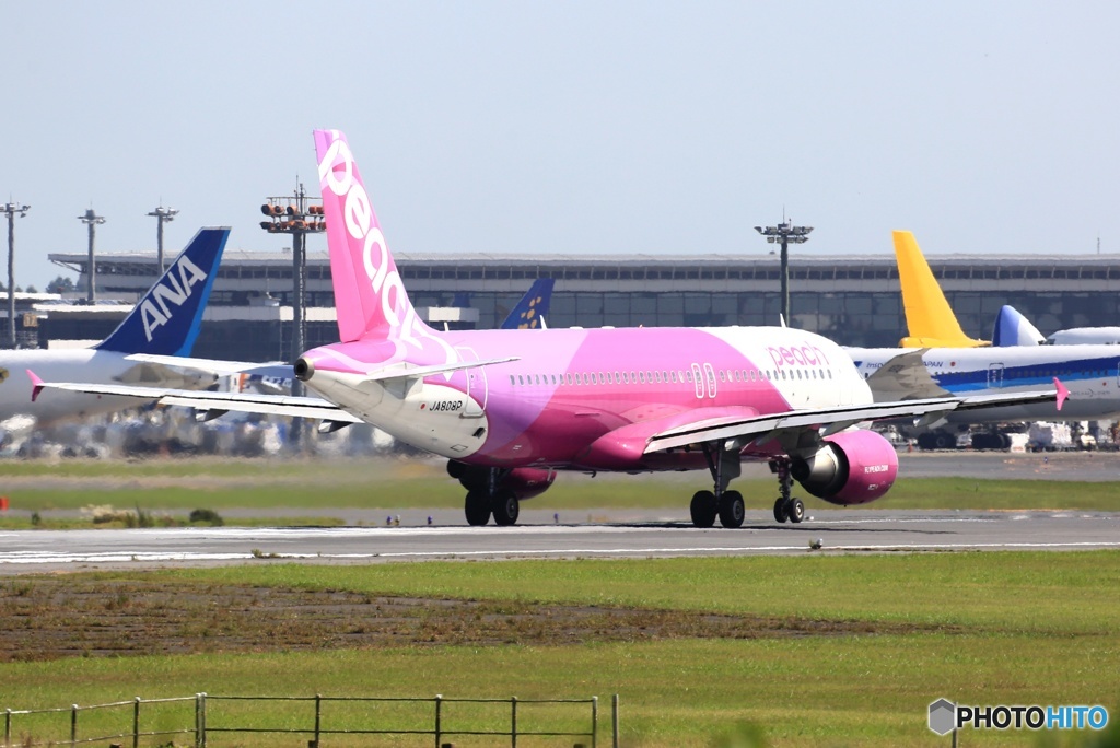 出発　peach A320-214 JA808P