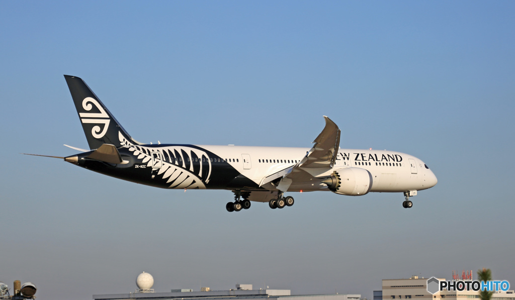 到着 Air New Zealand B787-9 ZK-NZC