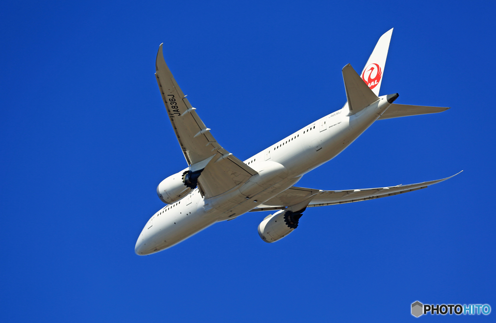 「青空」 JAL 787-8 JA836J飛び立ち 