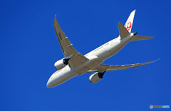 「青空」 JAL 787-8 JA836J飛び立ち 