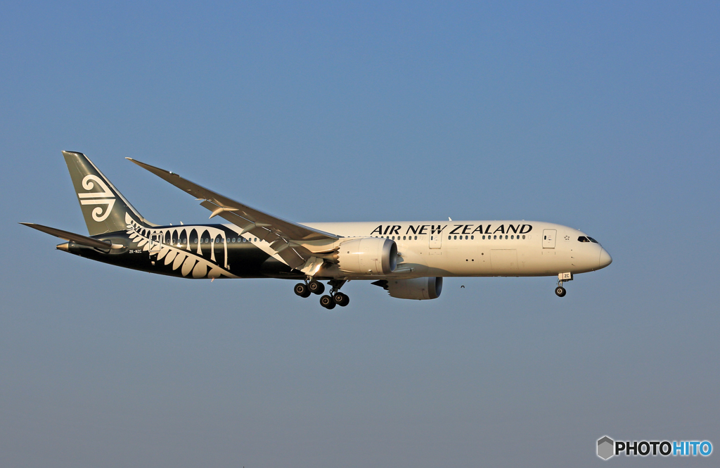 「SKY」Air New Zealand B787-9 ZK-NZC到着　