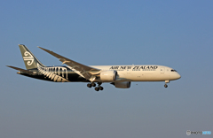 「SKY」Air New Zealand B787-9 ZK-NZC到着　