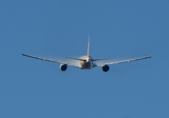 離陸(366)scoot 777-212 ベイパー 離陸(366)scoot 777-212 ベイパー
