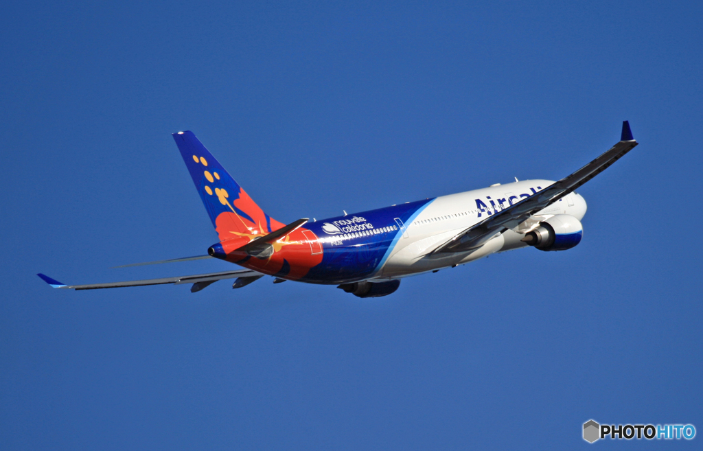 AIR CALIN A330-202 F-OJSE 出発　