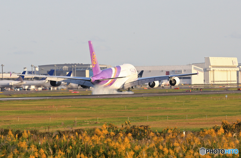 着陸 THAI A380-841 HS-TUA