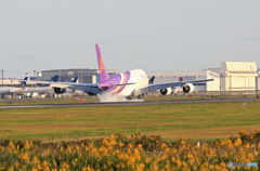 着陸 THAI A380-841 HS-TUA