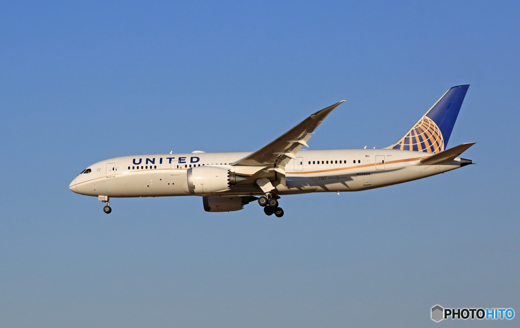 着陸 UNITED 787-8 N20904
