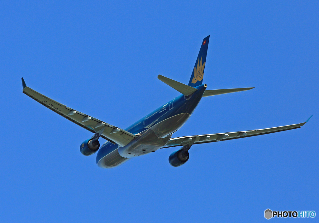 ✈vietnam A330-200 VN-A376 Takeoff
