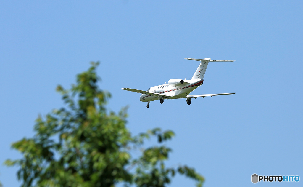 国土交通省航空局Cessna 525C Citation CJ4 JA010G