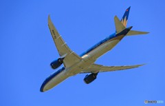 「そらー」　vietnam 787-9 VN-A866