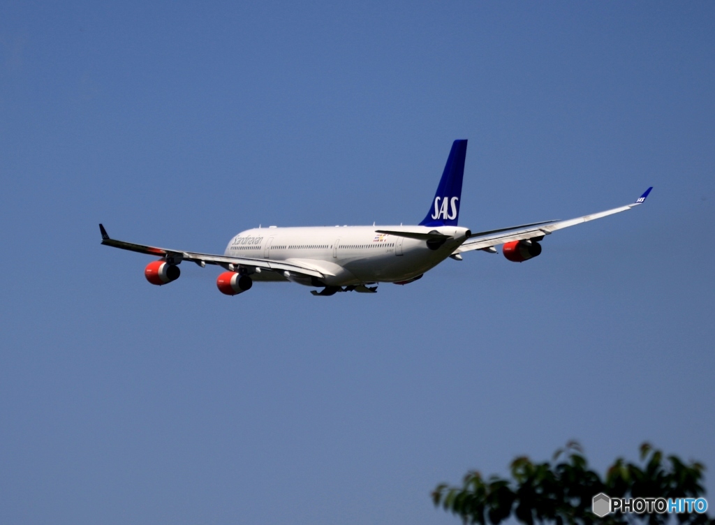 出発　SAS A340-300