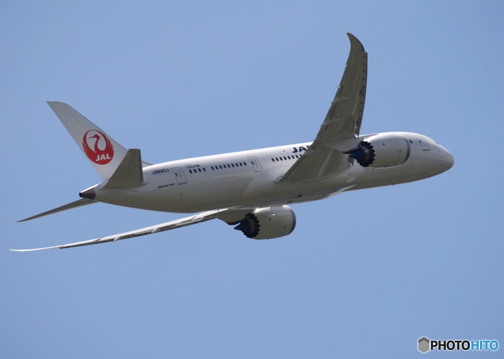 JAL 787-8 飛行　