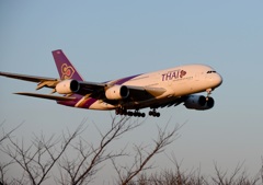 THAI A380-841 到着