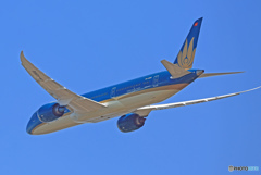 離陸☮ Vietnam B787-9 VN-A866 ☮