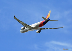 「晴れ」 Asiana A330-323 HL8259 出発 「晴れ」 Asiana A330-323 HL8259 出発